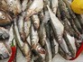 Свежая рыба на прилавке Свежая рыба на прилавке