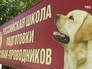 Школа подготовки собак-поводырей Школа подготовки собак-поводырей