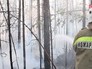 Лесные пожары Лесные пожары