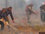 Лесные пожары Лесные пожары