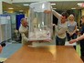 Внутрипартийные выборы "Единая Россия" Внутрипартийные выборы "Единая Россия"