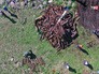 Саперы разминируют боеприпасы времен ВОВ Саперы разминируют боеприпасы времен ВОВ