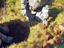 Саперы разминируют боеприпасы времен ВОВ Саперы разминируют боеприпасы времен ВОВ