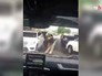 Гонки с полицией Гонки с полицией