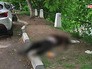 Погибший мужчина Погибший мужчина