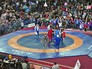 Драка на чемпионате России по вольной борьбе Драка на чемпионате России по вольной борьбе