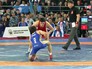 Драка на чемпионате России по вольной борьбе Драка на чемпионате России по вольной борьбе