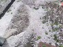 Град Град