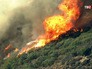 Лесные пожары в США Лесные пожары в США