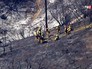 Последствия лесных пожаров в США Последствия лесных пожаров в США