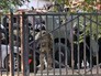 Спецоперация в Казахстане Спецоперация в Казахстане