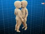 Модель сиамских близнецов Модель сиамских близнецов
