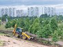 Братеевский каскадный парк Братеевский каскадный парк