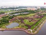Благоустройство Братеевского парка Благоустройство Братеевского парка