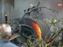 "Русский Витязь" разбился в Подмосковье из-за отказа техники "Русский Витязь" разбился в Подмосковье из-за отказа техники