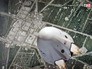 Приземление корабля SpaceX Приземление корабля SpaceX