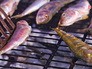 Фестиваль рыбной кухни "Барабулька" в Крыму Фестиваль рыбной кухни "Барабулька" в Крыму