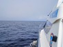Поисковая операция МЧС России на воде Поисковая операция МЧС России на воде