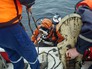 Поисковая операция МЧС России Поисковая операция МЧС России