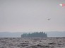 Поисково-спасательная операция МЧС на месте происшествия Поисково-спасательная операция МЧС на месте происшествия