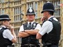 Полиция Великобритании Полиция Великобритании