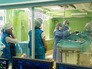 Посещение сосудистого центра городской клинической больницы № 3 в Зеленограде Посещение сосудистого центра городской клинической больницы № 3 в Зеленограде