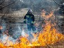 Лесные пожары Лесные пожары