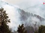 Лесные пожары Лесные пожары