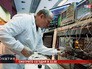Смотрите в 22:30 специальный репортаж "В поисках частицы бога" Смотрите в 22:30 специальный репортаж "В поисках частицы бога"