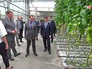Председатель правительства РФ Дмитрий Медведев во время посещения сельскохозяйственного предприятия Председатель правительства РФ Дмитрий Медведев во время посещения сельскохозяйственного предприятия