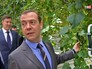 Председатель правительства РФ Дмитрий Медведев во время посещения сельскохозяйственного предприятия Председатель правительства РФ Дмитрий Медведев во время посещения сельскохозяйственного предприятия