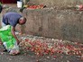 Жители Венесуэлы Жители Венесуэлы