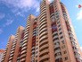 Новостройка Новостройка