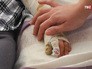 Коллектору-поджигателю из Ульяновска грозит пожизненный срок Коллектору-поджигателю из Ульяновска грозит пожизненный срок