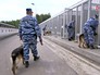 Кинологический отдел ОМОН Кинологический отдел ОМОН