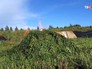 Уничтожение зарослей конопли Уничтожение зарослей конопли