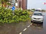 Последствия грозы в Белоруссии Последствия грозы в Белоруссии