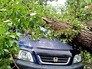 Последствия грозы Последствия грозы