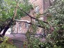 Сломанное дерево Сломанное дерево