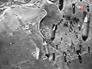 Вторая мировая война Вторая мировая война