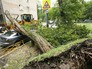 Последствия грозы Последствия грозы