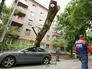 Последствия грозы Последствия грозы