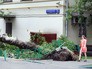 Последствия грозы Последствия грозы