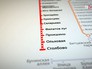 Продление "Сокольнической" линии метро Продление "Сокольнической" линии метро