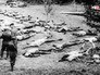 Волынская резня в годы Второй мировой войны Волынская резня в годы Второй мировой войны