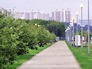 Благоустроенный Братеевский парк Благоустроенный Братеевский парк