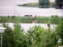 Благоустроенный Братеевский парк Благоустроенный Братеевский парк