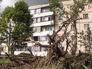 Последствия урагана Последствия урагана