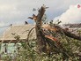 Последствия урагана Последствия урагана