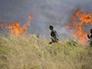 Военные во время ликвидации пожара в провинции Измир, Турция Военные во время ликвидации пожара в провинции Измир, Турция